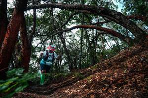 BIB: 
                            <button type="button" onclick="openModal(26346981)" class="btn btn-primary btn-sm float-right btn-popup" data-toggle="modal" data-target=".modal-high-quality">
                        <i class="fas fa-shopping-cart"></i> Add to Cart
                    </button>
                                            <button type="button" onclick="isThisMe(26346981, true)" class="btn btn-success btn-sm float-right btn-popup btn-isme hidden" data-toggle="tooltip" data-placement="bottom" title="นี่คือรูปของคุณใช่ไหม คลิกที่นี่เพื่อเอาเข้าอัลบั้ม">
                        <i class="fas fa-plus"></i> Add to album
                    </button>
                    <button type="button" onclick="isThisMe(26346981, false)" class="btn btn-warning btn-sm float-right btn-popup btn-isnotme hidden">
                        <i class="fas fa-ban"></i> Remove from album
                    </button>